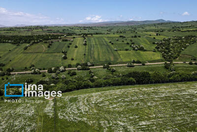 تمامی مجوزهای زمین‌محور باید از سامانه «پنجره واحد مدیریت زمین» صادر شود