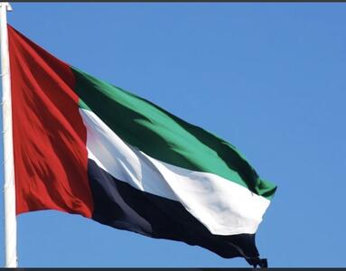  هجمه مسئولان اماراتی به عربستان/نه خدا و نه بندگان خدا از اقدام شما راضی نیستند