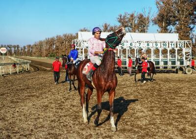 جوایز مسابقات اسبدوانی گنبدکاووس ۳۰ درصد افزایش یافت