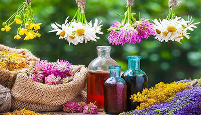  هدفگذاری کشت ۱۱ هزار و ۵۰۰ هکتار گیاهان دارویی در همدان