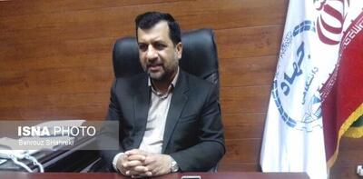  رئیس جهاد دانشگاهی استان: بصیرت، شناخت جبهه حق از باطل است