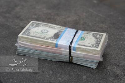 قفل ارزی دولت باز شد؛ میلیاردها دلار بزودی وارد بازار می‌شود