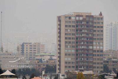 عقب‌نشینی خریداران مسکن؛ سرمایه‌ها به سمت طلا و ارز رفت