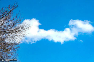  اولین روز «سالم» تهران در زمستان 1404 + عکس