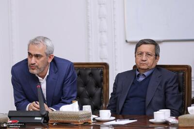  همتی در جلسه ای دولتی حاضر شد + عکس