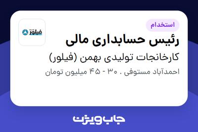  استخدام رئیس حسابداری مالی در کارخانجات تولیدی بهمن (فیلور)