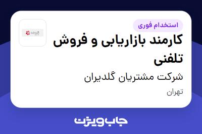  استخدام کارمند بازاریابی و فروش تلفنی - خانم در شرکت مشتریان گلدیران