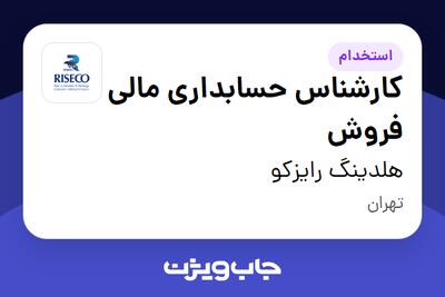 استخدام کارشناس حسابداری مالی فروش در هلدینگ رایزکو