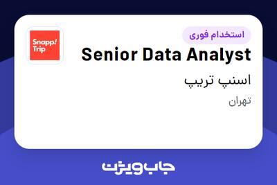  استخدام Senior Data Analyst در اسنپ تریپ