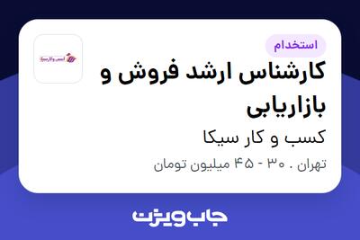  استخدام کارشناس ارشد فروش و بازاریابی در کسب و کار سیکا