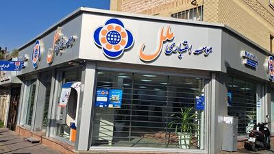 بازداشت مدیرعامل سابق موسسه ملل تایید شد