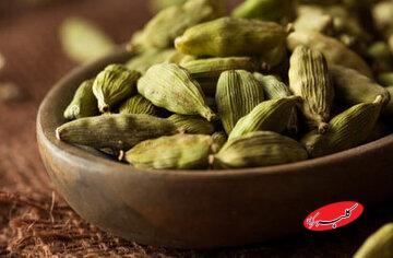  معرفی خواص یک خوشبوکننده طبیعی دهان - کلبه سرگرمی