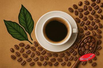  آیا قهوه پروتئینی برای سلامتی مفید است؟ - کلبه سرگرمی