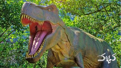 تخم دایناسور ۷۰ میلیون ساله پر از بلور بود! + عکس - مجله اینترنتی کولاک