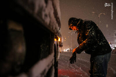 عکس/ برف و کولاک در کردستان