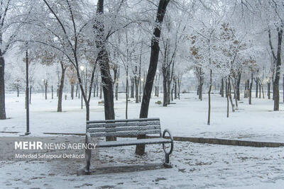 هشدار بارش‌ سیل‌آسا و کولاک در ۶ استان؛ فردا سردترین روز سال است