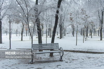 هشدار بارش‌ سیل‌آسا و کولاک برف در ۶ استان؛ فردا سردترین روز سال است