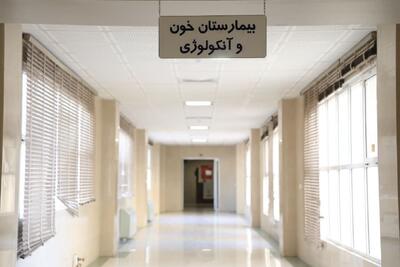  دهقان: ۶۰ پیوند موفقیت آمیز مغز استخوان در یزد انجام شد