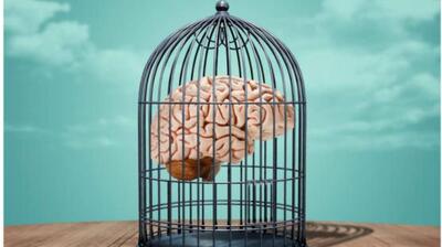 میگنا - تصلب شناختی و انعطاف‌پذیری ذهن