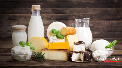 چرا قیمت‌های روزمره مثل لبنیات، نان و گوشت افزایش یافته‌اند؟ تحلیل جدید وضعیت هزینه‌های خانواده در ۹ دی ۱۴۰۴