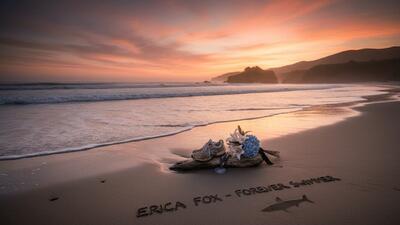 ورزشکار آمریکایی خوراک کوسه شد - پارس فوتبال