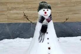  ساخت آدم‌برفی در اردوی تراکتور؛ بیرانوند کارگردان شد! +ویدیو