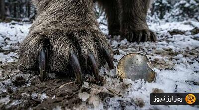 ریزش قیمت همزمان با رشد حجم معاملات؛ هولدرهای این آلت کوین توجه کنند!