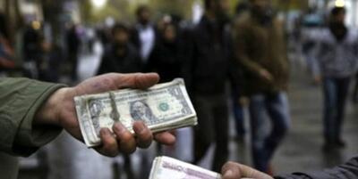 تشکیل پرونده قضایی برای اخلال گران ارز و نهاده های دامی - روزنامه رسالت