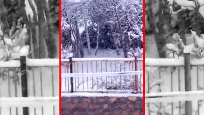  فیلم مناظر زمستانی و سفیدپوش آذربایجان غربی