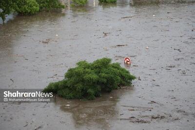 ۹ فوتی، ۲ مفقودی و ۱۵ مصدوم در جریان سیل و کولاک اخیر در ۲۵ استان (سه‌شنبه، ۹ دی ۱۴۰۴)