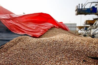 رشد ۲۵ درصدی توزیع نهاده دامی در خراسان رضوی