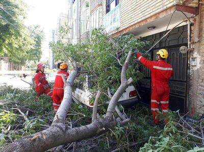 پاسخ اضطراری آتش‌نشانی مشهد به ۲۶ گزارش طوفانی در یک بازه ۴ ساعته (۹ دی ۱۴۰۴)