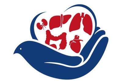 افزایش موارد اهدای عضو پس از فرهنگ‌سازی مؤثر | ثبت رکورد ۱۷۲ مورد اهدای عضو از مرگ مغزی طی یک سال