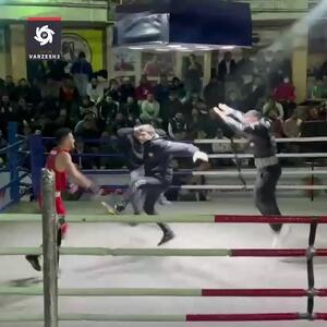 رقص مازندرانی ها بر رینگ بوکس+ ویدئو