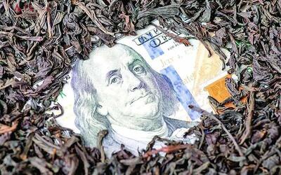 احضار ۲ وزیر مرتبط با پرونده چای دبش به زندان