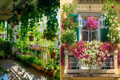  گیاهان آپارتمانی نلرز و جون سخت تو زمستون برای نگهداری در بالکن؛ همراه با ظاهر خاص
