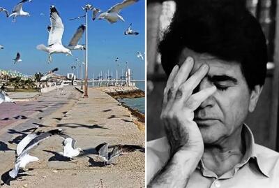  آواز بوشهری؛ محمدرضا شجریان تو حال هوای بوشهر یک نفس زد و هدر شد خوند
