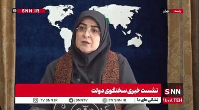  سخنگوی دولت استعفای «سنایی» را تایید کرد