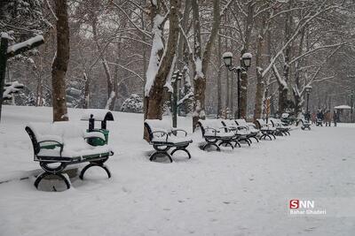 دمای هوای تهران زیر صفر می‌رود