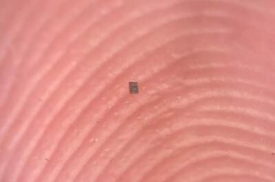 کوچک‌تر از دانه نمک؛ دانشمندان ریزترین ربات برنامه‌پذیر جهان را ساختند