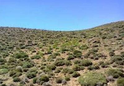 چین چگونه بیابان‌زایی را مهار کرد؟ - تسنیم