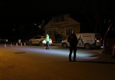 جزئیات کابوس 8 ساعته داعش در یالُوای ترکیه - تسنیم