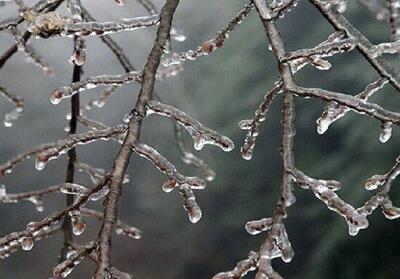 هشدار نارنجی هواشناسی؛ گلستان فردا یخ می‌زند - تسنیم
