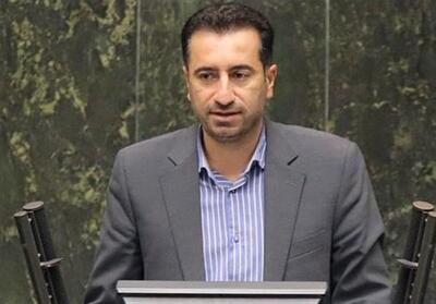 صالحی: رد کلیات بودجه فرصتی برای اصلاح مسیر اقتصادی است - تسنیم