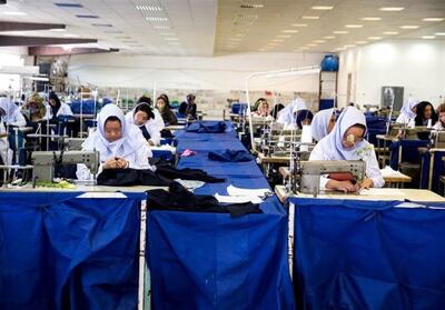 توانمندسازی بانوان در دستور کار نهادهای حمایتی - تسنیم