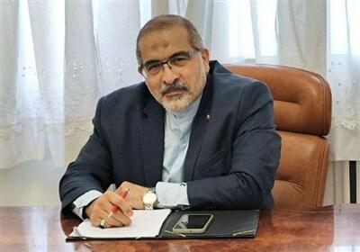 سفیر ایران در تونس:تولید مشترک،کلید حضور کالای ایرانی در اروپا و آفریقا - تسنیم