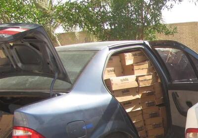 توقیف محموله 3 میلیارد ریالی کالای قاچاق در گناوه - تسنیم