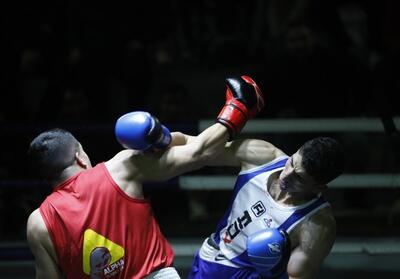 قهرمانی کرمانشاه در مسابقات بوکس قهرمانی کشور - تسنیم