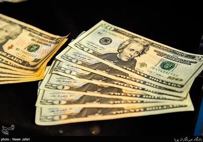 ارز خدماتی از 15 دی با نرخ بازار تجاری محاسبه می‌شود - تسنیم