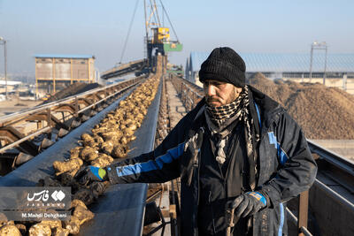 گام‌های ملی در مسیر خوداتکایی تولید شکر